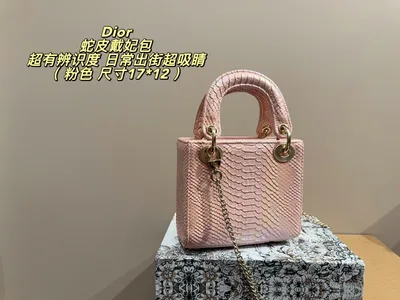 Dior Lady Dior Snake Print