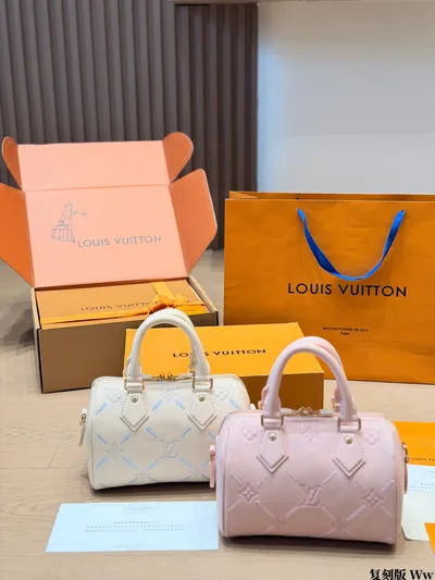 LV Speedy Pillow Bag