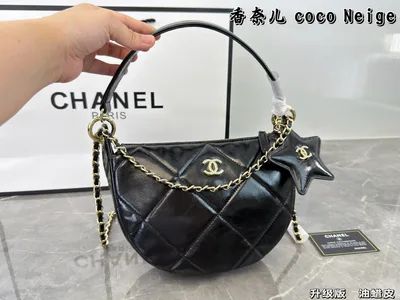 CHANEL Coco Neige 25N | 25K Bag